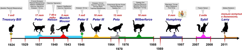 Указаны клички придворных котов, года несения их службы, общее количество выслуженных лет и премьер-министры, при которых они "трудились"