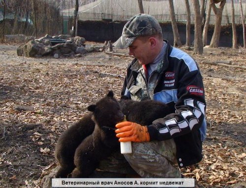 новоселы обживают новый дом