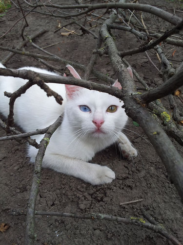  Меня не видно, меня не видно. Ну что вы пристали, тренируюсь я