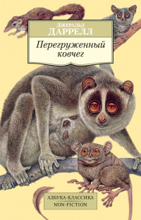 «Перегруженный ковчег»