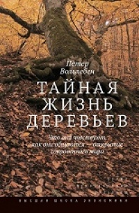 «Тайная жизнь деревьев»