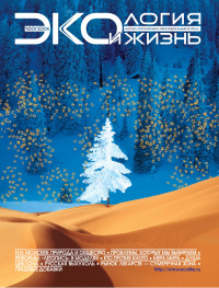 «Экология и жизнь 2006