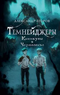 «Темнейджеры. Каникулы в Чернолесье»