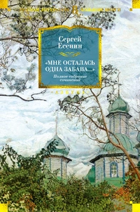 «Мне осталась одна забава...». Полное собрание сочинений»