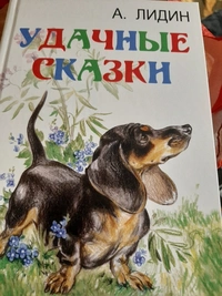 «Удачные сказки»