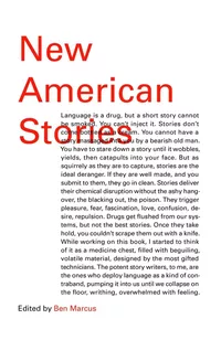 «New American Stories»