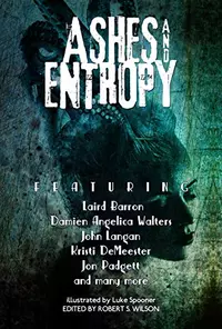 «Ashes and Entropy»