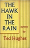 The Hawk in the Rain