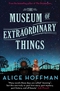 The Museum of Extraordinary Things