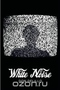 White Noise