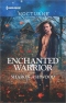 Enchanted Warrior