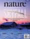 Nature, Vol. 503, Issue 7475, 14 November 2013