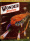 Wonder Stories, August 1933