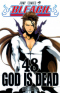 ブリーチ 48. God Is Dead