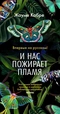 И нас пожирает пламя