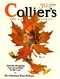 Collier’s, October 4, 1930 (Vol. 86, No. 14)