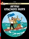 Акулы Красного моря