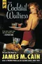 The Cocktail Waitress