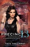 Precinct 13